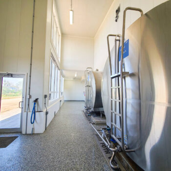 inside foth ventures